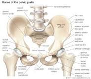 Image result