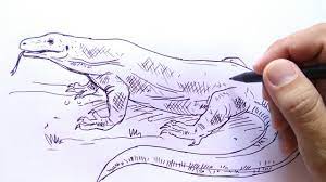 Check spelling or type a new query. Cara Menggambar Komodo Youtube
