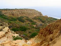 Torrey pines state natural reserve is located at 12600 n torrey pines rd, la jolla 92037. Torrey Pines State Natural Reserve Wikipedia