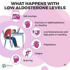 Image result for Aldosterone