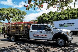 Downtown san antonio at night photo by zsolt varga. An Outside R Perspective Pct Pest Control Technology