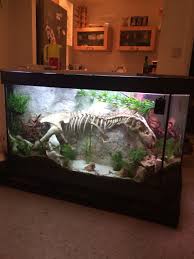 Pin By James Holle On Pet Stuff Cool Fish Tanks Reptile Terrarium Bearded Dragon Terrarium Ideas