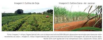 Blog De Geografia Questao Pet Observe As Imagens Abaixo E Responda