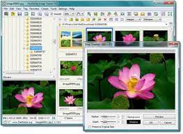 Revolutionary photo editor and design maker. Faststone Image Viewer Powerful And Intuitive Photo Viewer Editor And Batch Converter