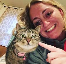 Lost dog Lulu found safe in Warminster after escaping from kennel