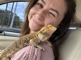 Taking Bearded Dragons
