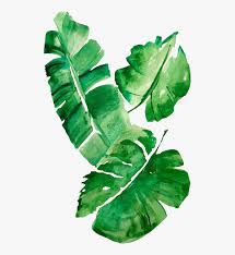 Watercolor tropical leaves border png. Tropical Leaves Watercolor Png Transparent Png Transparent Png Image Pngitem