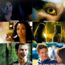 On Tvd Which Do You Want To Be Vampire Werewolf Witch Doppelganger Hybrid Or Human Personally Vampire Diaries Funny Vampire Diaries Vampire Diaries Cast