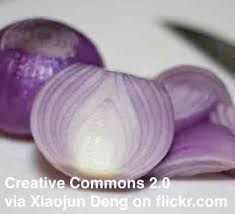 Onions Esl Lesson Plan Breaking News English Lesson