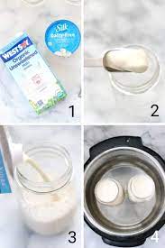 2 Ingredient Vegan Yogurt Recipe Vegan Blueberry