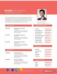 Desain cv simple tau desain cv kreatif? 70 Download Template Cv Word Gratis 2021 Dyp Im