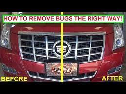 Otherwise, choose spring water or some other water free of staining minerals. How To Clean Bugs Off A Car The Right Way To Clean Bug Guts Easy Guaranteed Results Youtube