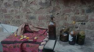 Check spelling or type a new query. Curandero Peruvian Shamans And Nature S Medicine Cabinet Brewminate