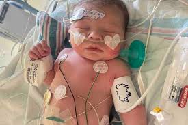 Fundraiser for Baylee Thabet by Alex Evans : Joseph and Baylee Children's  Hospital Stay