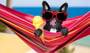 We did not find results for: The Best Funny And Unique Food Names For Dogs K9 Web