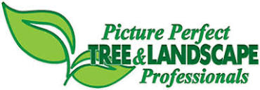 Picture Perfect Tree and Landscaping | Tree Service located in New ...