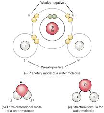 First and foremost everything is energy. Water Principles Of Biology