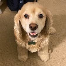 Molly Murdock (@Musicmollym)