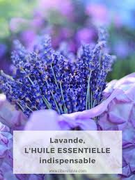 L Huile Essentielle De Lavande Bienfaits Et Utilisations Libere Ta Vie Huile Essentielle Lavande Huiles Essentielles Lavande