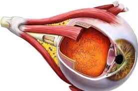 Trinity Elaine Abrahamson