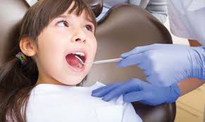 Black River science students visit Iceland