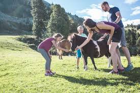 Став рейхсканцлером, он назвал дом. Berg Sommer Haus Am Wildbach In Solden Appartements Zimmer