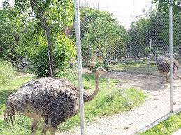 Covering a vast area of more than 200. Bird Park Islamabad Birdparkisb Twitter