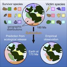 Marine Biodiversity And Geographic Distributions Are