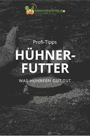 Was Huhn Frisst Und Was Besser Nicht Huhner Futter Huhner Huhner Und Hahne