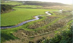 The Assessment of Integrated Constructed Wetlands