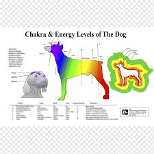 The blissful horses offers info on your horse's chakra system, balancing your horse's chakras, your horse's vision, hearing, sense of smell…yeah, horse senses. Dog Chakra Horse Pet Reiki Chakra Animals Text Logo Png Pngwing