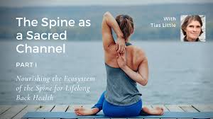 The spine as a sacred channel: The Spine As A Sacred Channel Nourishing The Ecosystem Of The Spine For Lifelong Back Health Yogauonline