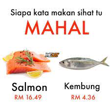 Tidak hanya dari sayuran saja, tapi dari hewan juga bisa anda dapatkan. Meloy Healthy Khasiat Ikan Kembung Lebih Tinggi Dari Facebook