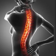 Es reicht aus, wenn sie das ärztliche rezept und den ausbildungsnachweis/abschlusszeugnis mit den rechnungen bei uns zur kostenerstattung einreichen. Osteopathie