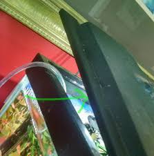 How do i get the snails to stop laying clutches? Mystery Snail Laid Eggs In A Terrible Location Hatchling Health Help Pets Stack Exchange