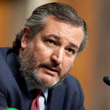 Bush's presidential campaign when heidi was on break from harvard business school. After Insulting Tweet Cruz Tells Trump Leave My Wife The Hell Alone