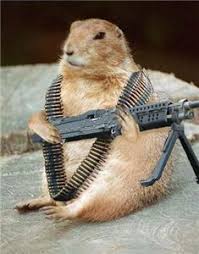 Funny Animal Funny Hamsters With Guns