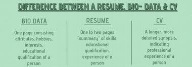Go for a document that follows the american resume rules. Cv Resume And Biodata