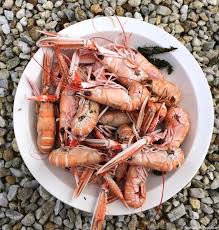 Comment Cuire Les Crustaces Langoustine Recette Cuisine Poisson Recettes Poissons Et Fruits De Mer