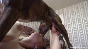 dog and girl xxx