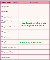 Pada subtema 1, materinya terkait manusia dan lingkungannya. Lengkap Kunci Jawaban Kelas 5 Tema 1 Subtema 2 Pembelajaran 2 Simple News Kunci Jawaban Lengkap Terbaru