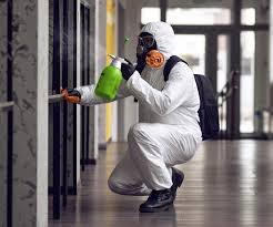 Mold Removal vs Mold Remediation, What's the Difference? | SERVPRO