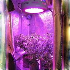 Check spelling or type a new query. Best Ufo Led Grow Light 2020 Reviews