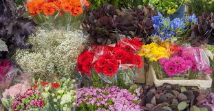 With over 40 years as a nursery grower and wholesale plant broker, greenwood nursery provides wholesale nursery plants and seedlings pricing to conservation districts, garden centers, nursery brokers, landscapers, lawn maintenance services, builders, contractors, wholesale nurseries, environmental companies as well as other businesses working within the. Floral Care 101