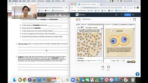 Answer key to meiosis worksheets cell division begin with a page 2/4. Cell Division Gizmo Lab Instructions Youtube