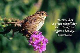 20 Quotes About Nature Short Nature Quotes Nature Quotes Mother Nature Quotes