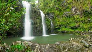 Select from premium hana hawaii of the highest quality. Hana Waterfall Beach Full Loop Tour Hana Jungle Tour Local Maui Tours