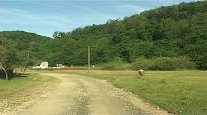 286 din 16.12.2016 privind bugetul asigurărilor sociale de stat pe anul 2017. Klaus Iohannis A Trimis Parlamentului Spre News Ro