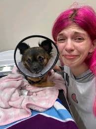 Nice pic of Buckeye from ten years ago. I still miss him a lot and think  about him often.