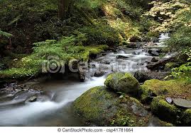 We did not find results for: Pacific Northwest Forest Stream Canstock